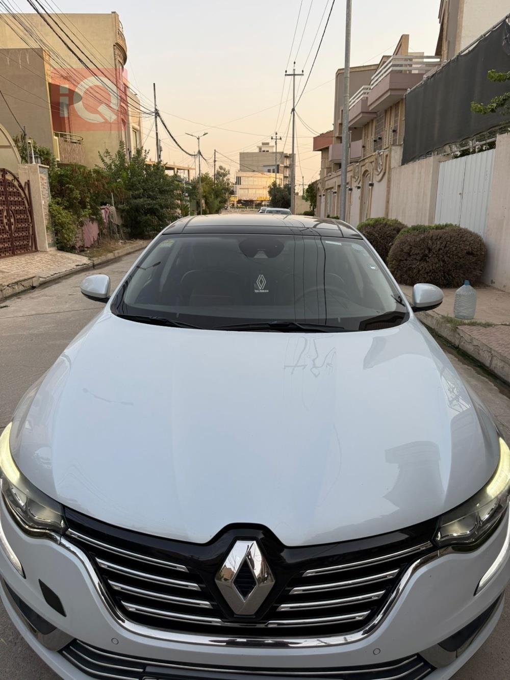 رينو تلسمان